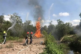 Diễn tập chữa cháy rừng. (Ảnh minh họa: Nhật Bình/TTXVN)