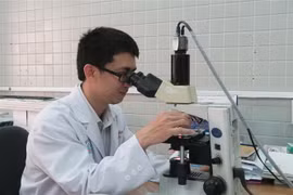 Bác sỹ Phạm Quang Thông là 1 trong 12 công dân trẻ tiêu biểu năm 2019 của TP.HCM. (Ảnh: Đinh Hằng/TTXVN)