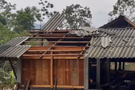 Một ngôi nhà bị hư hại vì giông lốc. (Nguồn: TTXVN)