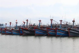 Nhiều tàu thuyền của tỉnh Thừa Thiên-Huế đã vào bờ neo đậu an toàn để tránh bão số 5. (Ảnh: Đỗ Trưởng/TTXVN)