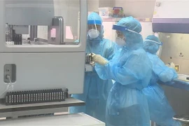 Xét nghiệm sàng lọc mẫu bệnh phẩm của các trường hợp nghi ngờ đến từ vùng dịch COVID-19 tại Trung tâm kiểm soát bệnh tật thành phố Hà Nội. (Ảnh: TTXVN)