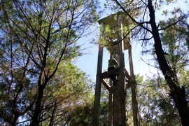 Đội lâm nghiệp Nghi Đồng, huyện Nghi Lộc, tỉnh Nghệ An lắp đặt camera giám sát cảnh báo cháy rừng. (Ảnh: Tá Chuyên/TTXVN)