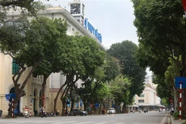 Phố Đinh Tiên Hoàng vắng vẻ hơn hẳn thường ngày (Ảnh chụp ngày 28/3). (Ảnh: Thanh Tùng/TTXVN)