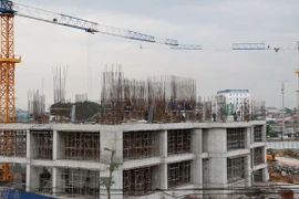 Ảnh minh họa. (Nguồn: TTXVN)