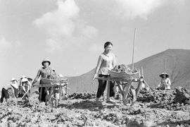 Nhờ sử dụng công cụ cải tiến, thường xuyên tổ chức dây chuyền sản xuất, Tổ 9, Đội 609, Chi đội 6 TNXP chống Mỹ, cứu nước Nghệ An luôn đạt năng suất cao, vượt mức sản xuất bình thường từ 5 đến 20%. (Ảnh: Văn Sắc/TTXVN)