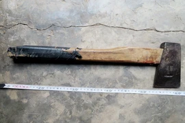 Hung khí Đúng dùng để chém chết một người và làm bị thương 2 người. (Ảnh: TTXVN)