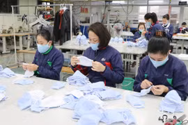 Công nhân Công ty cổ phần đầu tư và thương mại TNG kiểm tra sản phẩm trước khi xuất xưởng. (Ảnh: Hoàng Nguyên/ TTXVN)