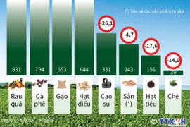 Kim ngạch xuất khẩu nhiều nông sản chính giảm mạnh.