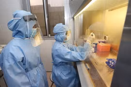 Tách mẫu sinh phẩm để xác định virus SARS-CoV-2. (Ảnh: Dương Giang/TTXVN)