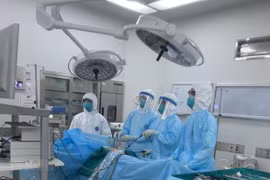 Các bác sỹ nỗ lực điều trị cho các bệnh nhân COVID-19. (Ảnh: TTXVN)