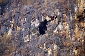 Khu vực hang núi Hài, nơi 4 nạn nhân mắc kẹt. (Ảnh: TTXVN)