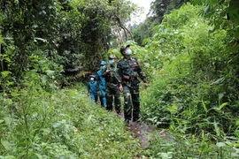 Cán bộ, chiến sỹ Chốt kiểm soát dịch bệnh số 1, Đồn Biên phòng Hương Nguyên (huyện A Lưới) tuần tra khu vực rừng nguyên sinh xã A Roàng. (Ảnh: Đỗ Trưởng/TTXVN)