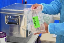 Nhân viên y tế kiểm tra bộ kit xét nghiệm COVID-19 tại New York, Mỹ, ngày 8/5/2020. (Ảnh: AFP/TTXVN)