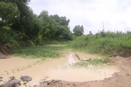 Dòng suối Đá chảy qua địa phận ấp Bình Tiến, xã Bình Châu đục ngầu do nước từ hồ rửa cát của Công ty trách nhiệm hữu hạn Hạnh Dũng rò rỉ ra môi trường. (Ảnh: Hoàng Nhị/TTXVN)