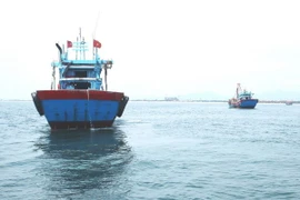 Ảnh minh họa. (Nguồn: TTXVN)