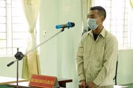 Bị cáo Đào Xuân Anh Doanh. (Ảnh: TTXVN)