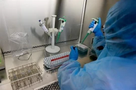 Xét nghiệm virus SARS-CoV-2 tại Bệnh viện Trung ương Huế. (Nguồn: TTXVN)