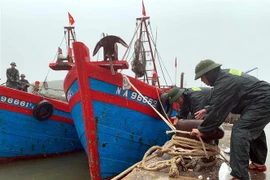 Bộ đội Biên phòng Nghệ An giúp ngư dân giằng néo tàu thuyền tránh bão. (Ảnh: Tá Chuyên/TTXVN)