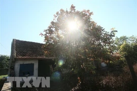 Đông Bắc Bộ và Trung Bộ có nắng nóng với nhiệt độ cao nhất phổ biến 34-37 độ C, có nơi trên 37 độ C. (Ảnh minh họa. Nguồn: TTXVN)