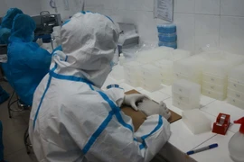 Nhân viên CDC Đà Nẵng tiến hành xét nghiệm. (Ảnh: Văn Dũng/TTXVN)
