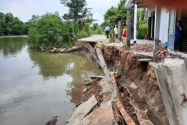 (Ảnh: Duy Khương/TTXVN)