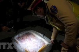 Ảnh minh họa. (Nguồn: TTXVN)