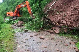 Ảnh minh họa. (Nguồn: TTXVN)