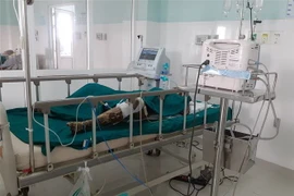 Bà Tô Thị Thanh Xuân được cấp cứu tại Bệnh viện Đa khoa tỉnh Kon Tum song đã tử vong do vết thương quá nặng. (Ảnh: TTXVN)