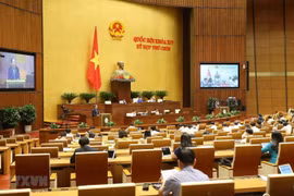 Quang cảnh phiên họp của Quốc hội. (Ảnh: Doãn Tấn/TTXVN)