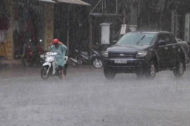 Ảnh minh họa. (Nguồn: TTXVN)