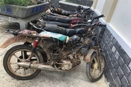 Tang vật được các đối tượng sử dụng để di chuyển, cưa hạ cây rừng. (Ảnh: Hoài Nam/TTXVN)