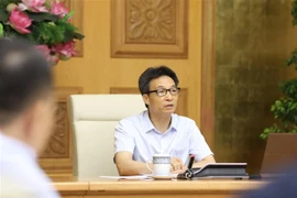 Phó Thủ tướng Vũ Đức Đam chủ trì cuộc họp. (Ảnh: Văn Điệp/TTXVN)