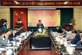 Phó Thủ tướng Vũ Đức Đam phát biểu tại cuộc họp của Ban chỉ đạo phòng chống các dịch bệnh nguy hiểm, mới nổi. (Nguồn: baochinhphu.vn)
