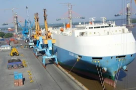 Vụ thuyền trưởng tàu RO-RO tử vong: Lấy mẫu xét nghiệm thủy thủ đoàn 