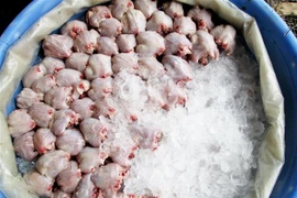 Chuột sau khi được lột da, bỏ đầu, đuôi, chân và mổ bỏ nội tạng, chỉ chừa lại 2 lá gan và chùm mỡ được ướp đá và chở đi bán khắp các chợ đầu mối tại thành phố Long Xuyên, có khi còn được chuyển lên Thành phố Hồ Chí Minh, Bình Dương. (Ảnh: Công Mạo/TTXVN)