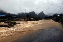 Ảnh minh họa. (Nguồn: TTXVN)