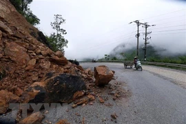 (Ảnh minh họa: Phan Tuấn Anh/TTXVN)