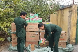 Cán bộ biên phòng kiểm đếm số pháo lậu thu giữ được. (Ảnh: TTXVN)