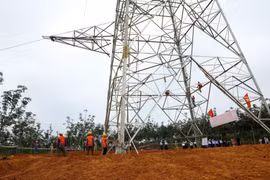 Công nhân Công ty cổ phần Sông Đà 11 thi công lắp đặt thiết bị cột vị trí 158 trên địa bàn huyện Lệ Thủy, tỉnh Quảng Bình. (Ảnh: Ngọc Hà/TTXVN)