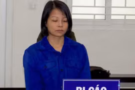 Nữ nhân viên ngân hàng lừa đảo, trốn truy nã nhận án tù chung thân