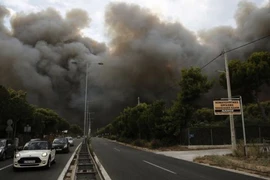 Thảm họa cháy rừng tại Hy Lạp năm 2018. (Nguồn: EPA)