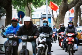 Ảnh chỉ có tính minh họa. (Ảnh: Trọng Đạt/TTXVN)