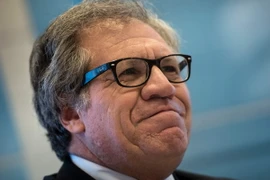 Tổng thư ký OAS Luis Almagro tại một sự kiện ở Washington, DC, Mỹ. (Nguồn: AFP/TTXVN)