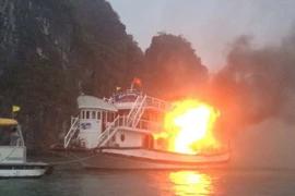 Ảnh chỉ có tính minh họa. (Ảnh: Văn Đức/TTXVN)