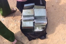 Ảnh chỉ có tính minh họa. (Nguồn: TTXVN)