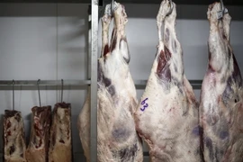 Thịt bày bán tại một cửa hàng ở Sao Paulo, Brazil. (Nguồn: AFP/TTXVN)