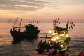 Ảnh chỉ có tính minh họa. (Nguồn: TTXVN)