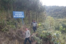 Tổ chuyên trách bảo vệ và phát triển rừng thôn bản chủ động kiểm soát và bảo vệ rừng. (Ảnh: Nguyễn Duy/TTXVN)
