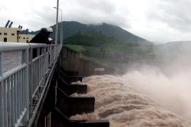 Ảnh chỉ có tính minh họa. (Ảnh: Thế Lập/TTXVN)