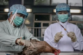 Trung Quốc phát hiện thêm bệnh nhân nhiễm cúm H7N9